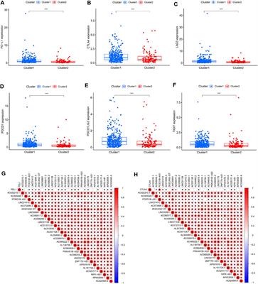 A novel prognostic signature based on cuproptosis-related lncRNA mining in colorectal cancer